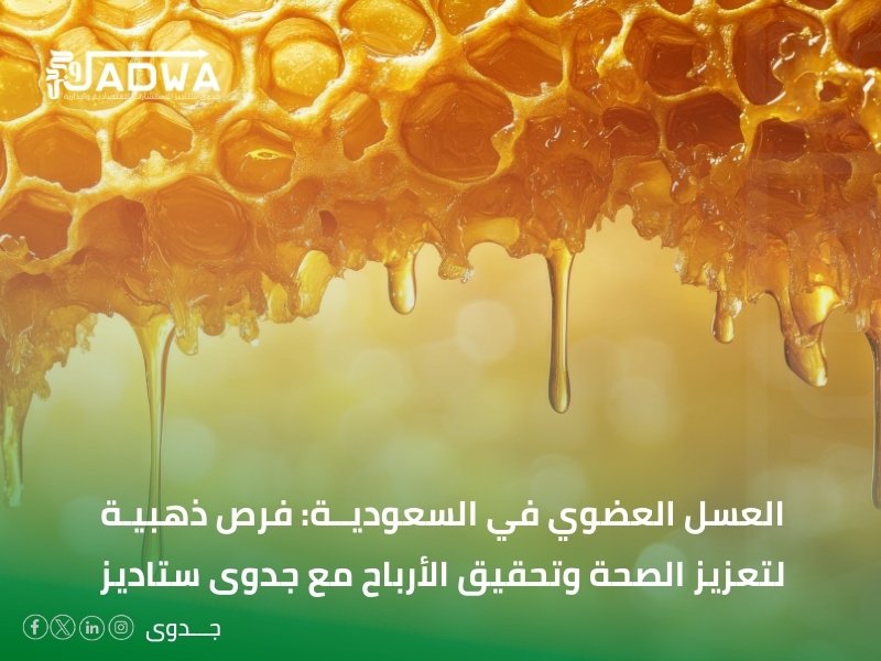 أفضل أفكار مشاريع
