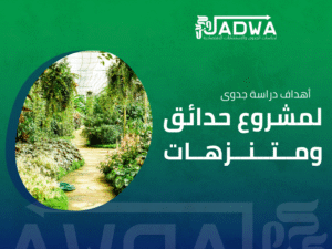 شركة دراسة جدوى