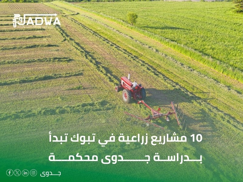 دراسات الجدوى في تبوك