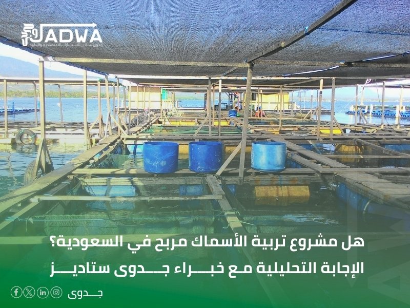 دراسة جدوى مجانية جاهزة