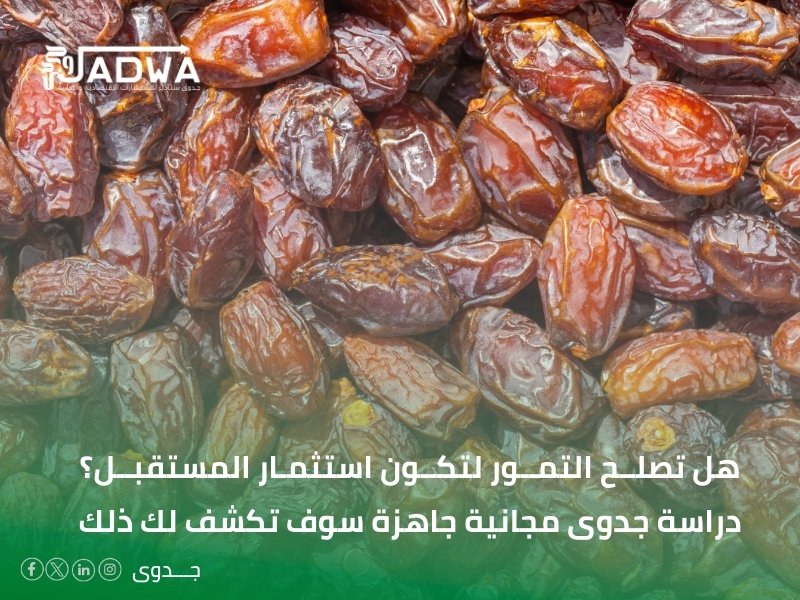 دراسة جدوى مجانية جاهزة