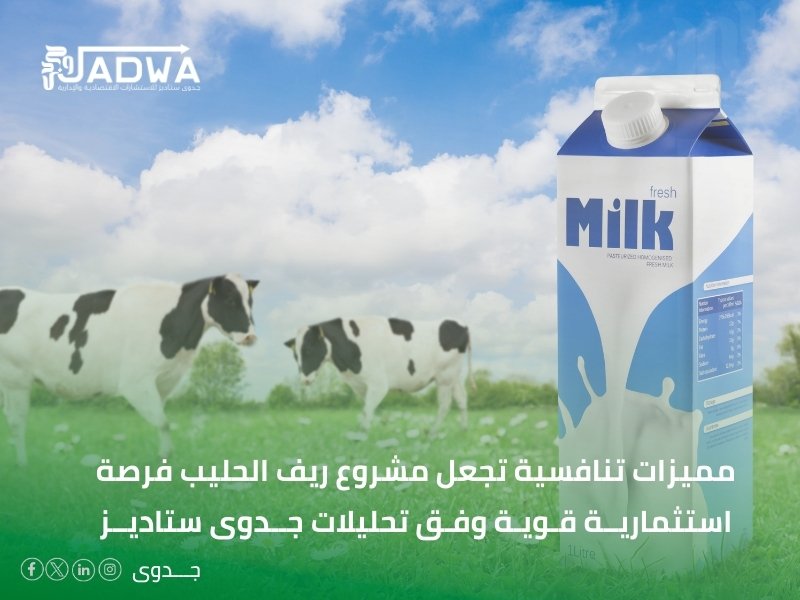 دراسة جدوى مجانية جاهزة