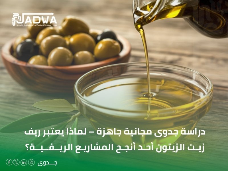 دراسة جدوى مجانية جاهزة