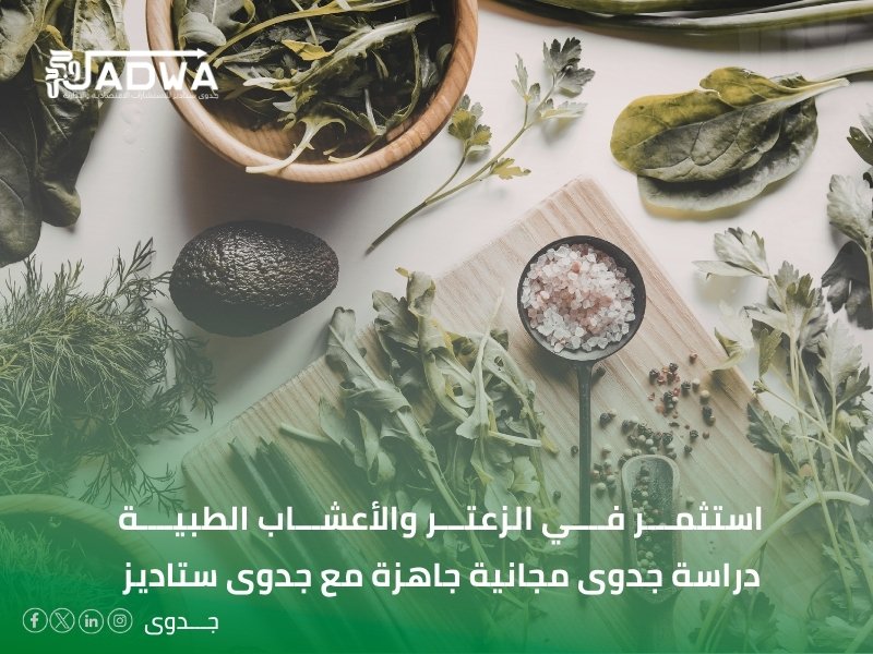 دراسة جدوى مجانية جاهزة