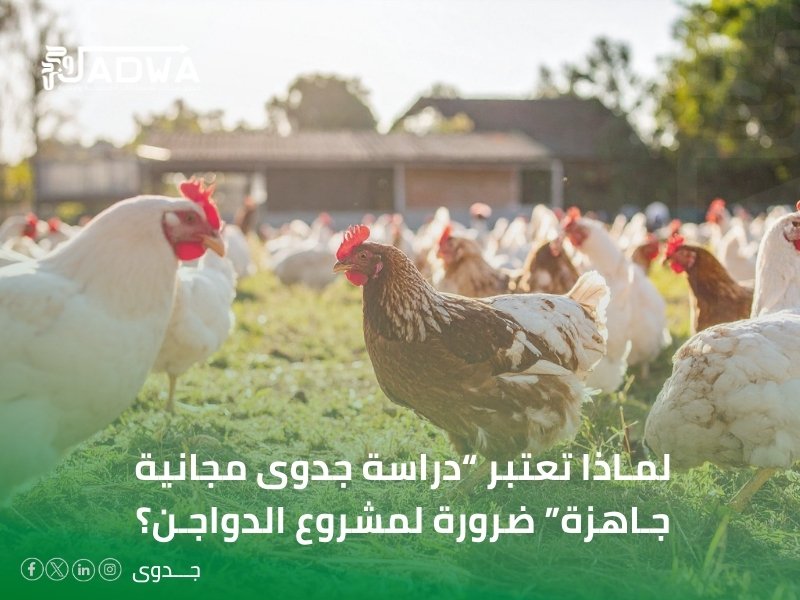 دراسة جدوى مجانية جاهزة