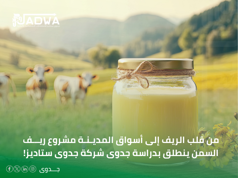 دراسة جدوى مجانية جاهزة