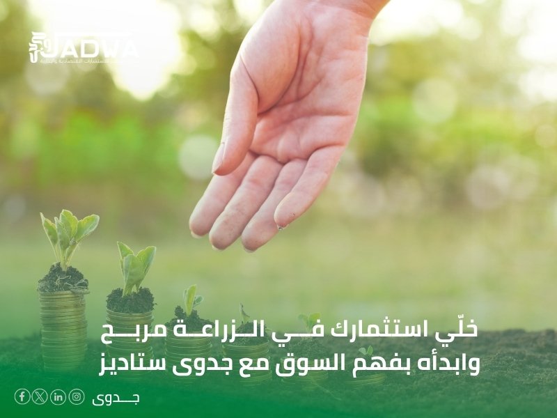 مكاتب دراسات الجدوى في القصيم