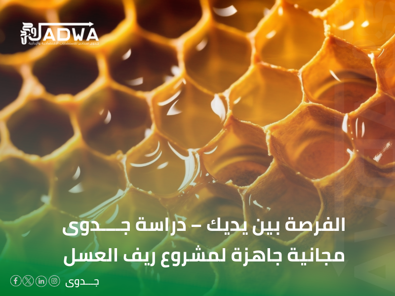 دراسة جدوى مجانية جاهزة