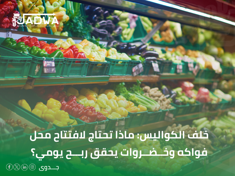دراسة جدوى مجانية جاهزة