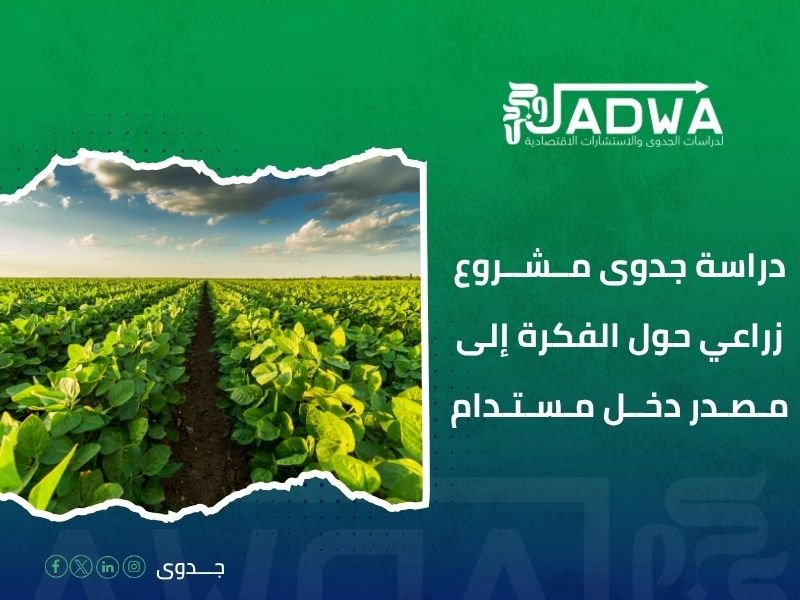 دراسة جدوى اقتصادية في السعودية