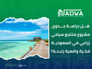 دراسة جدوى اقتصادية في السعودية