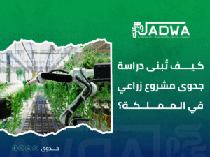 دراسة جدوى اقتصادية في السعودية