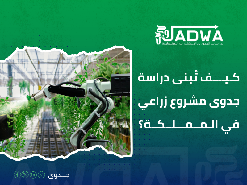 دراسة جدوى اقتصادية في السعودية