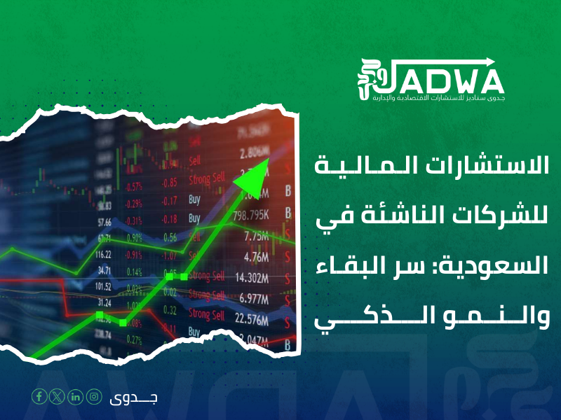استشارات مالية السعودية