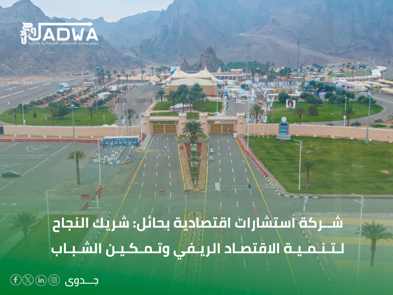 شركة استشارات اقتصادية في حائل
