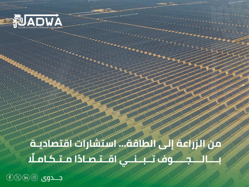 شركة استشارات اقتصادية في الجوف