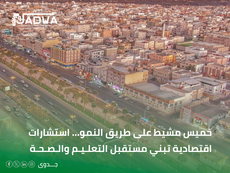شركة استشارات اقتصادية في خميس مشيط