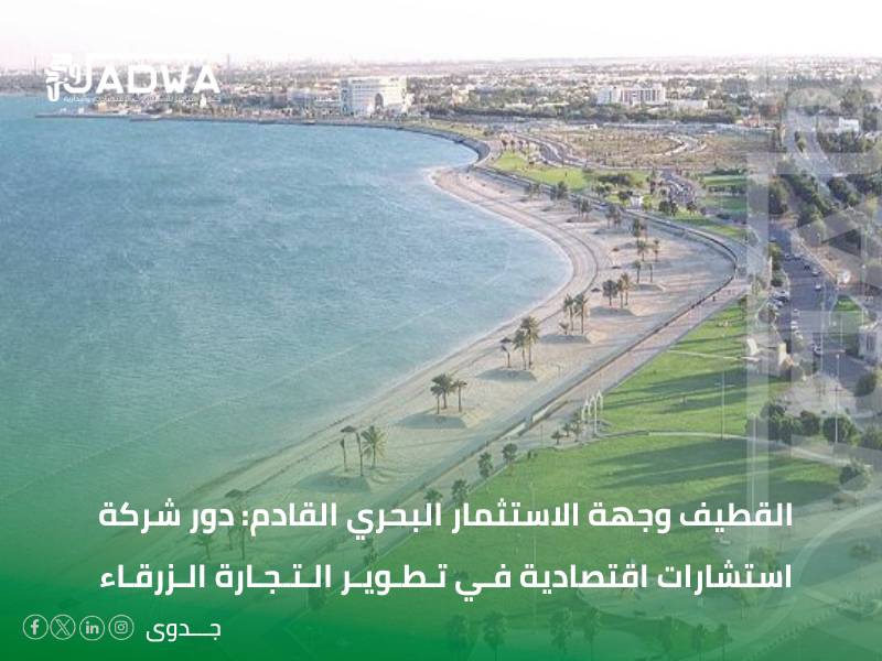 شركة استشارات اقتصادية في القطيف