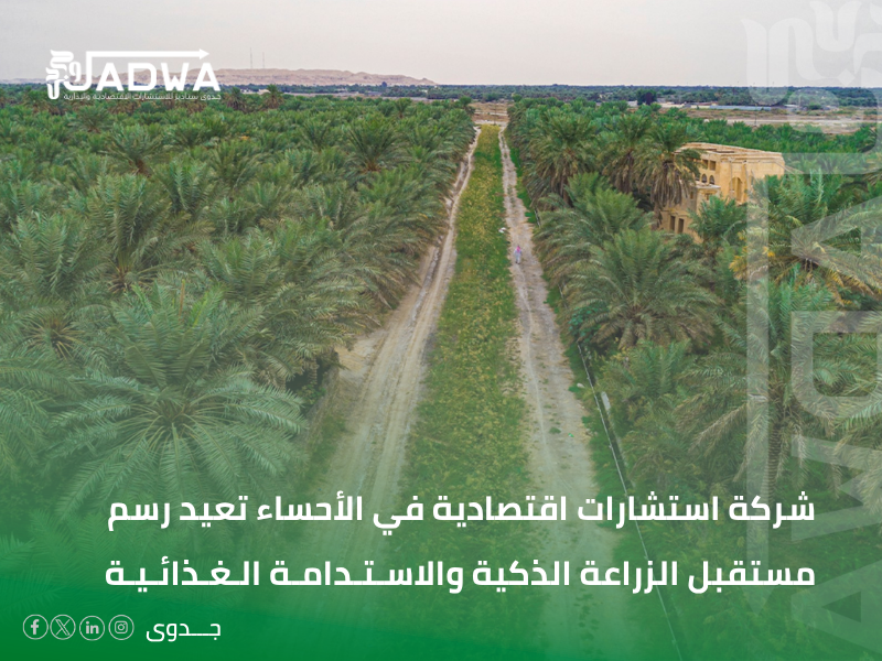 شركة استشارات اقتصادية في الأحساء