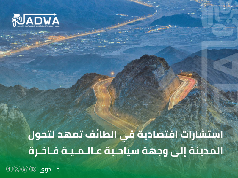 شركة استشارات اقتصادية في الطائف