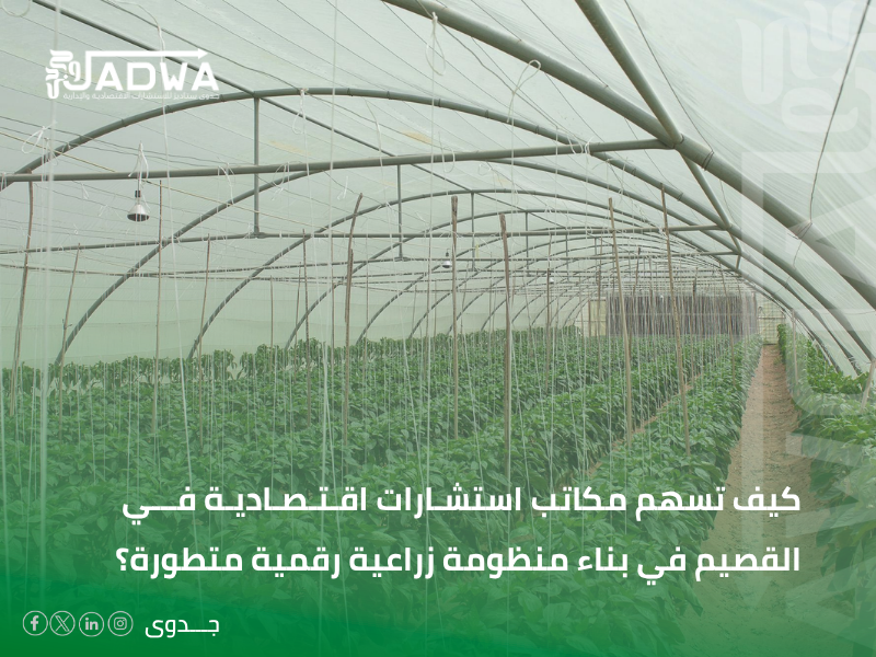 مكاتب استشارات اقتصادية في القصيم