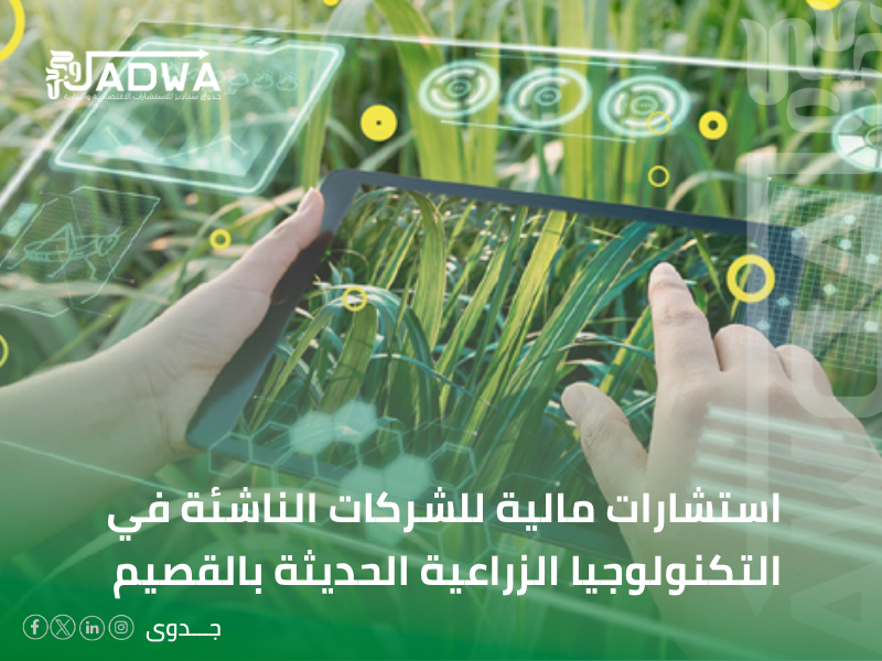 شركة استشارات مالية في القصيم