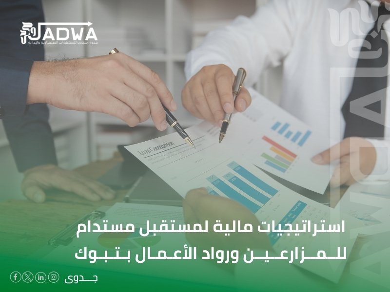 شركة استشارات مالية في تبوك