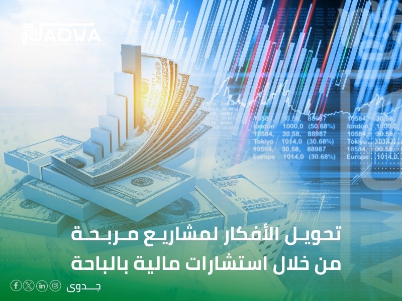 شركة استشارات مالية في الباحة