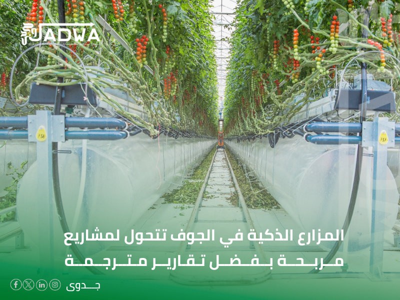 مكتب ترجمة دراسات جدوى في الجوف