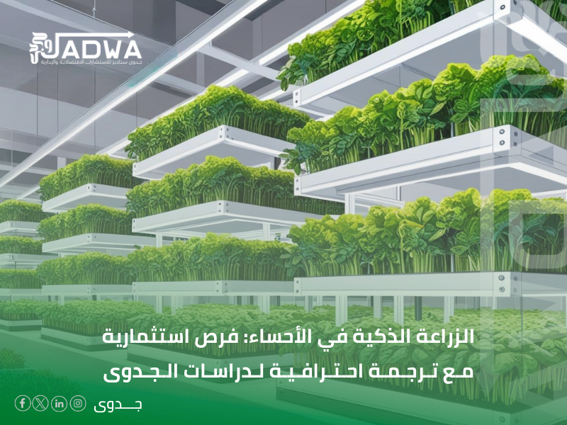 مكتب ترجمة دراسات جدوى في الأحساء